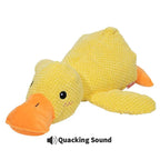 Calming Duck Toy by Wowpetsmart®
