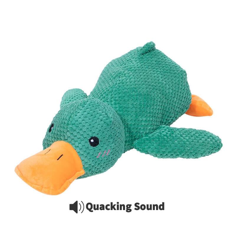 Calming Duck Toy by Wowpetsmart®
